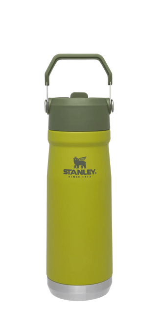 http://ca.stanley1913.com/cdn/shop/files/The-Classic-IceFlow-Flip-Straw-Water-Bottle-22oz-Aloe_1200x630.png?v=1701107835