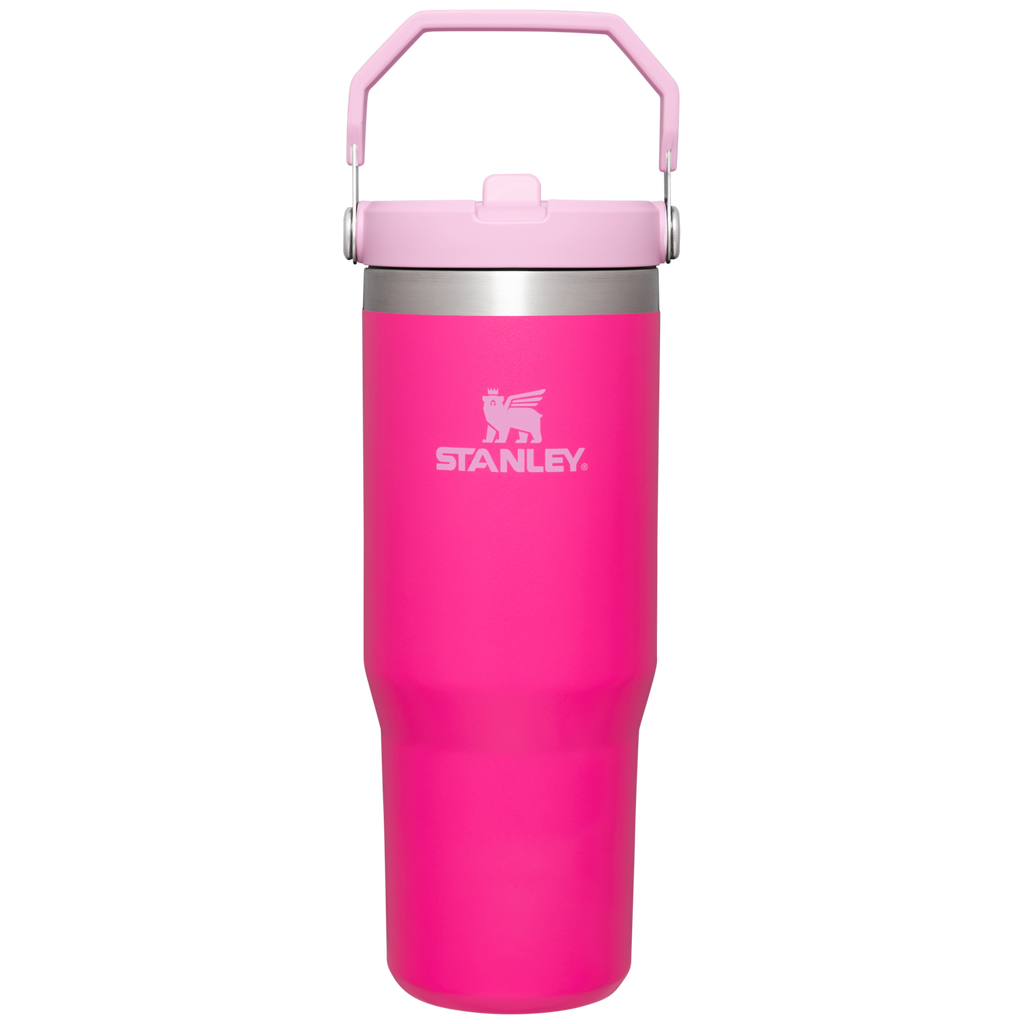 https://ca.stanley1913.com/cdn/shop/files/B2B_Web_PNG-The-IceFlow-Flip-Straw-Tumbler-30OZ-Camelia-Front_bcdb9308-5282-44dd-b8de-3c87853b365d_1024x1024.png?v=1704659153