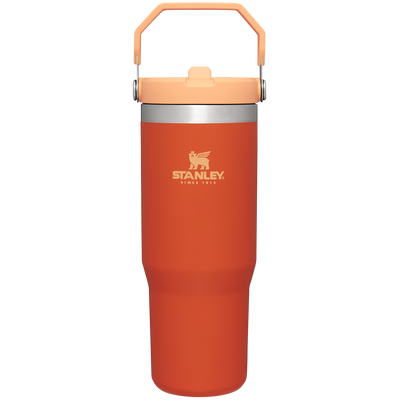 The IceFlow Flip Straw Tumbler | 30 OZ | Insulated Water | Stanley