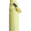IceFlow™ Bottle with Fast Flow Lid | 24 OZ | 0.71 L - Stanley Create