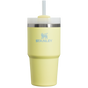 The Quencher H2.0 FlowState™ Tumbler | 20 OZ | 0.6 L