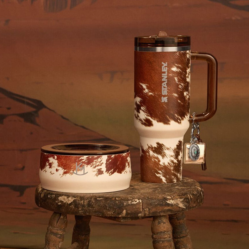 Stanley 1913 The Kacey Musgraves x Stanley 1913 Everyday Pet Bowl 3-Cup 0.71 L in Kacey Musgraves Rodeo