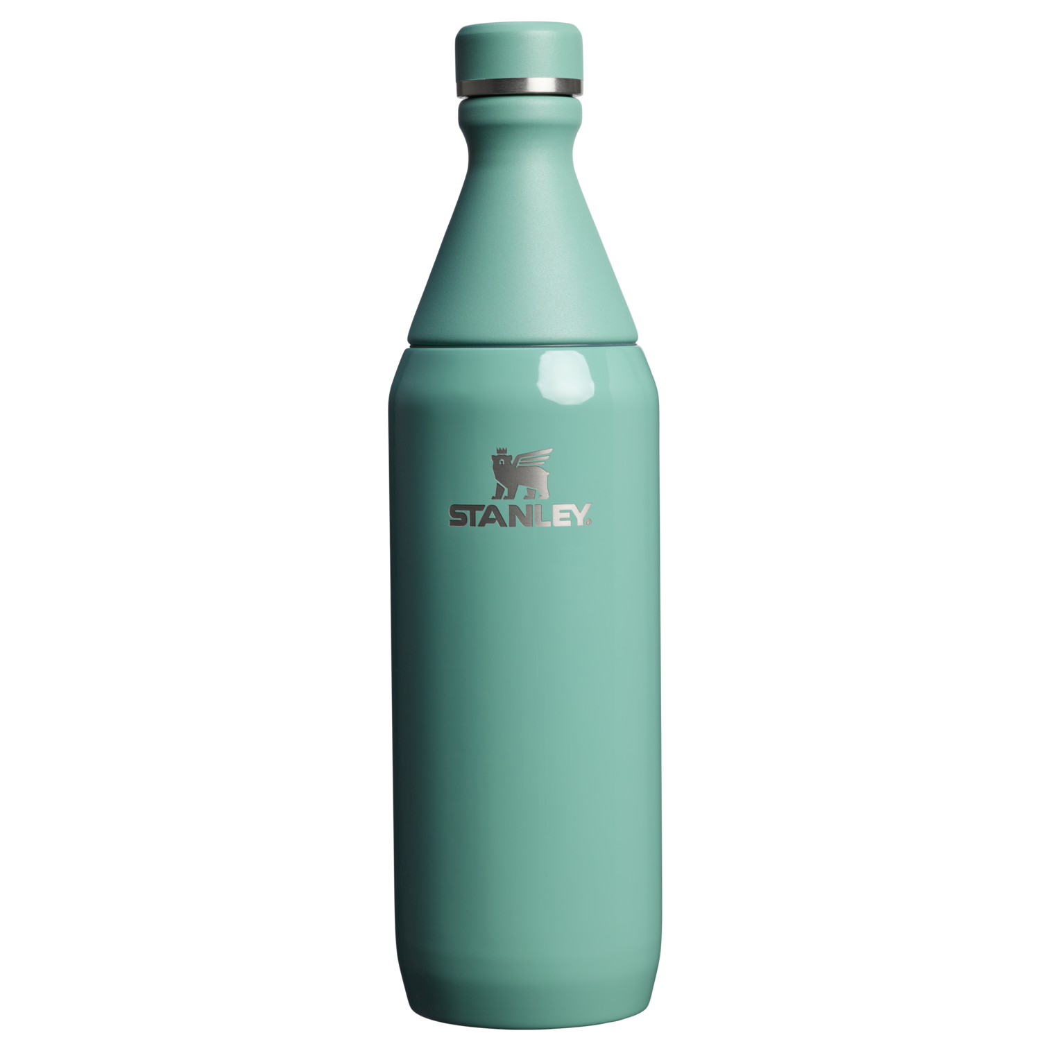 All Day Slim Bottle | 20 OZ | 0.59 L - Stanley Create