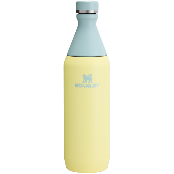 All Day Slim Bottle | 20 oz | 0.59 L – Stanley 1913