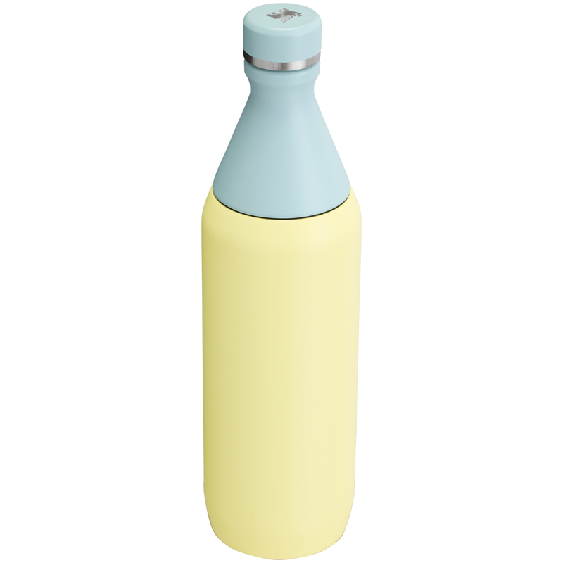 Stanley 1913 All Day Slim Bottle 20 OZ 0.59 L in Pomelo | Back View