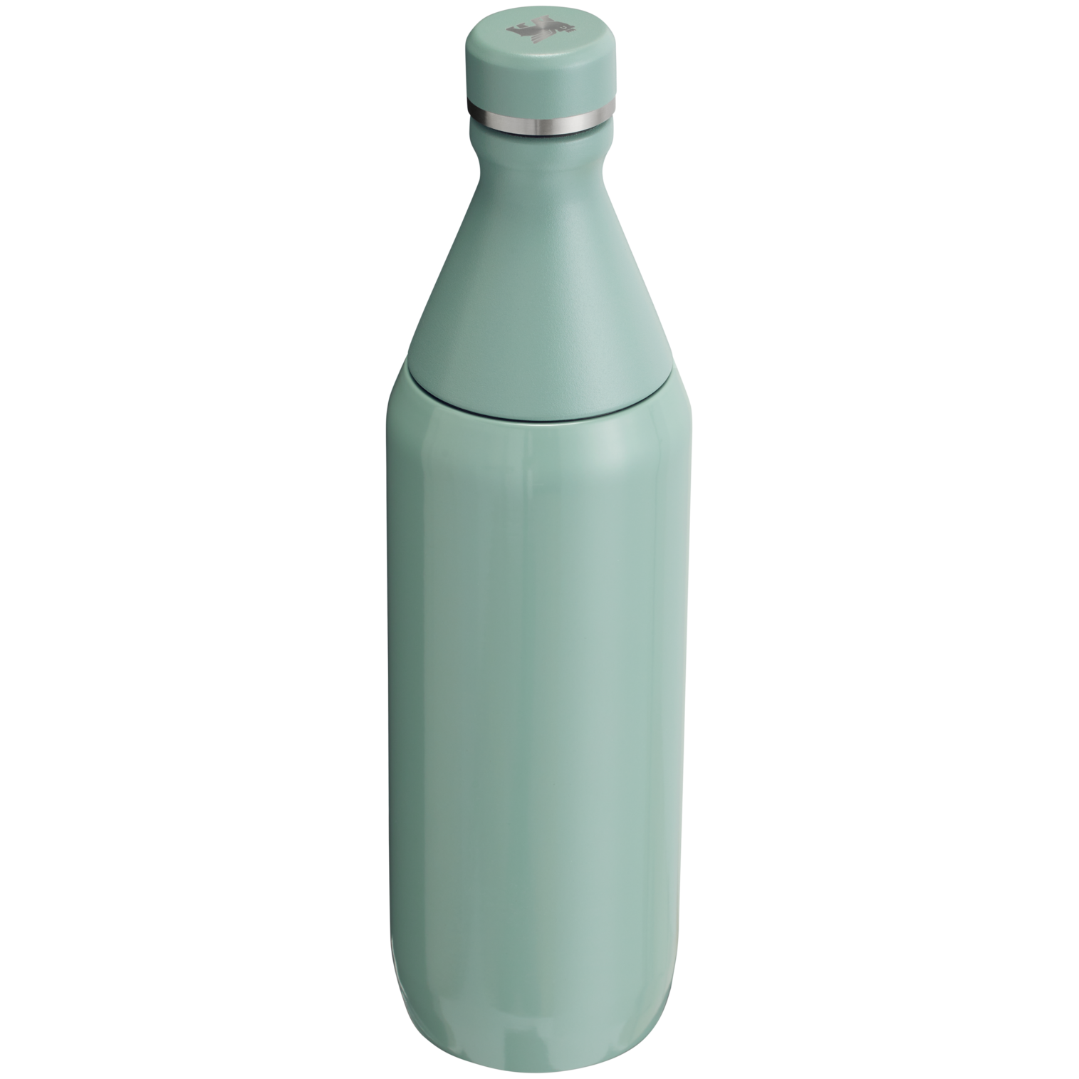 Stanley Leak Proof 20 OZ All Day Slim Bottle  with removable collar in Shale Gloss
