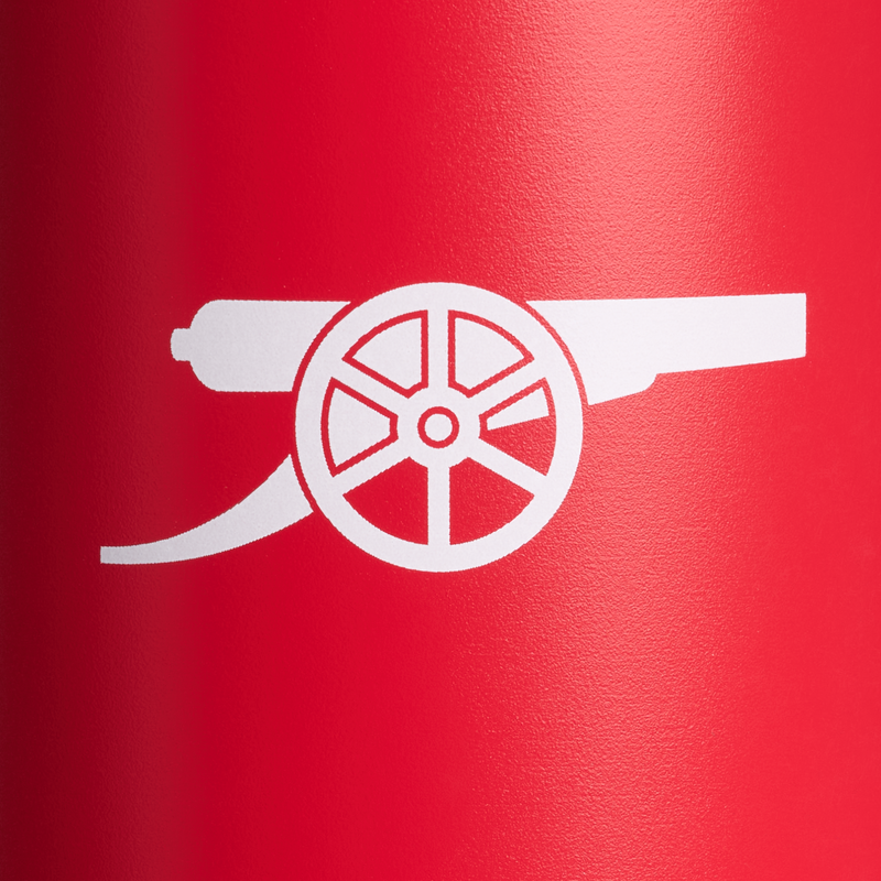 Stanley 1913 Stanley 1913 x Arsenal Quencher® ProTour Flip Straw Tumbler 20 OZ 0.59 L in Arsenal DNA Red