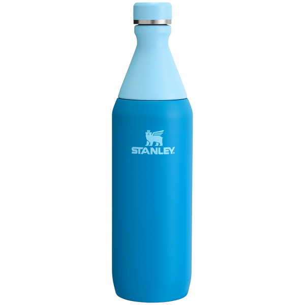All Day Slim Bottle | 20 oz | 0.59 L – Stanley 1913
