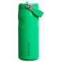 The IceFlow™ Bottle with Flip Straw Lid