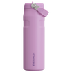 The IceFlow™ Bottle with Flip Straw Lid | 24 oz | .70 L