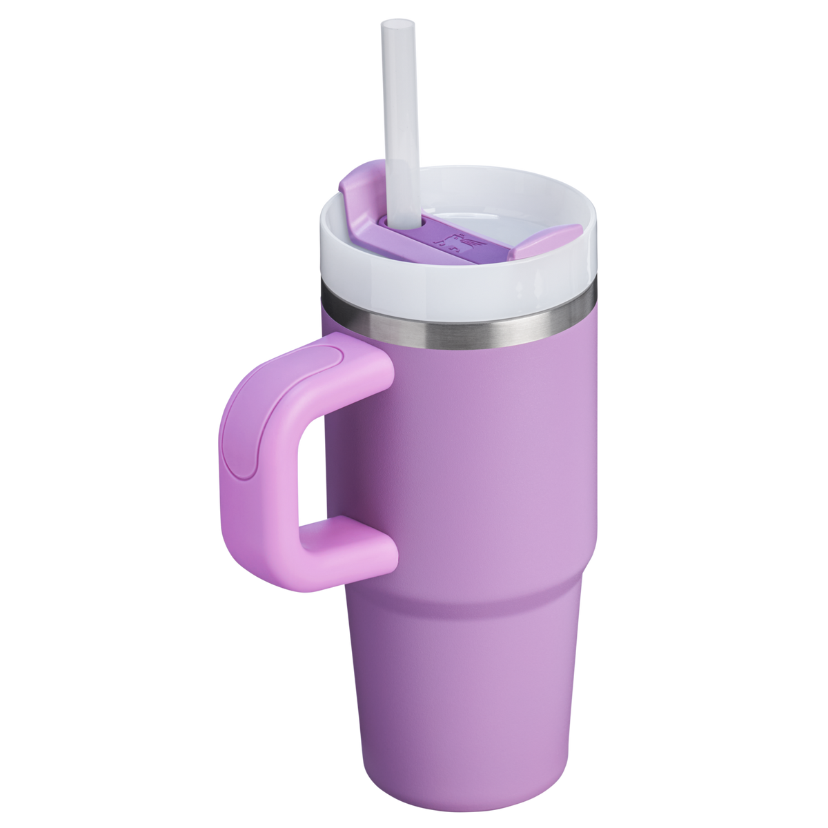 The Quencher H2.O FlowState™ Tumbler with Handle | 20 OZ | 0.6 L