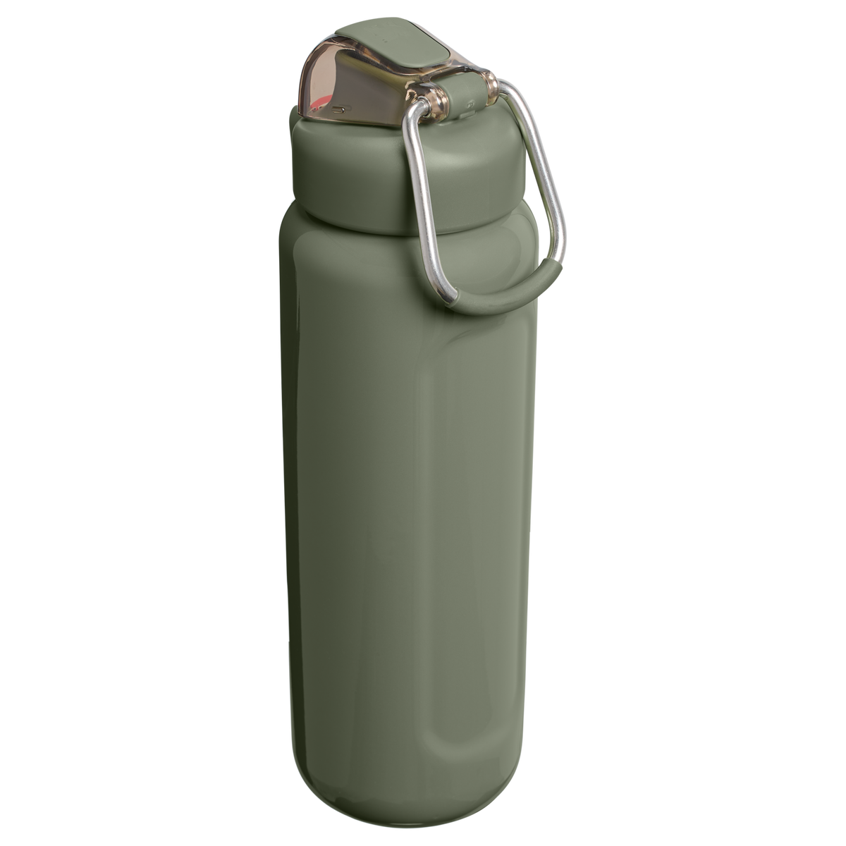 Stanley 1913 The Wellspring Bottle 24 OZ in Dried Pine Gloss | View 2