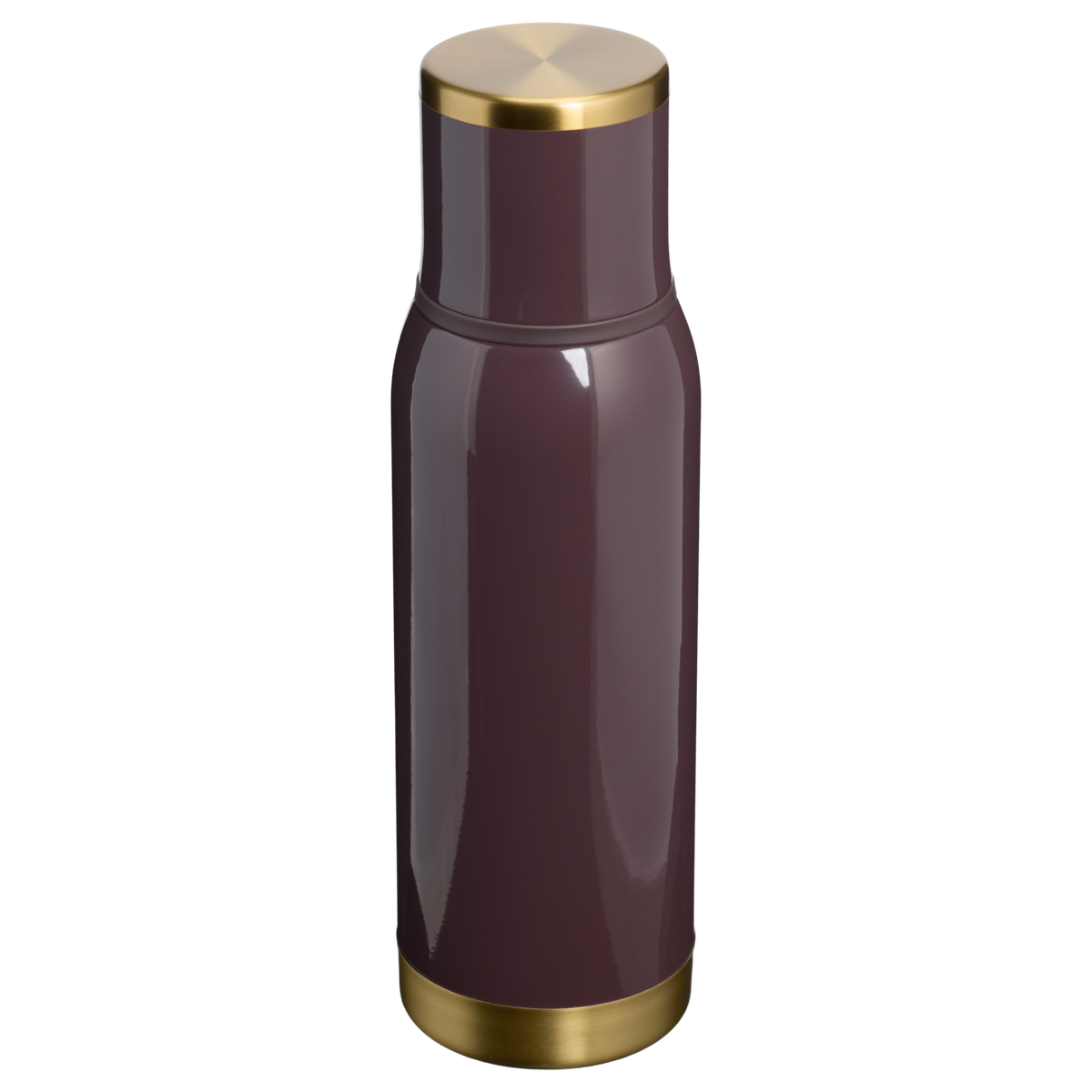 Stanley 1913 The Adventure To-Go Bottle 25 OZ 0.74 L in Fig Gloss | Front View