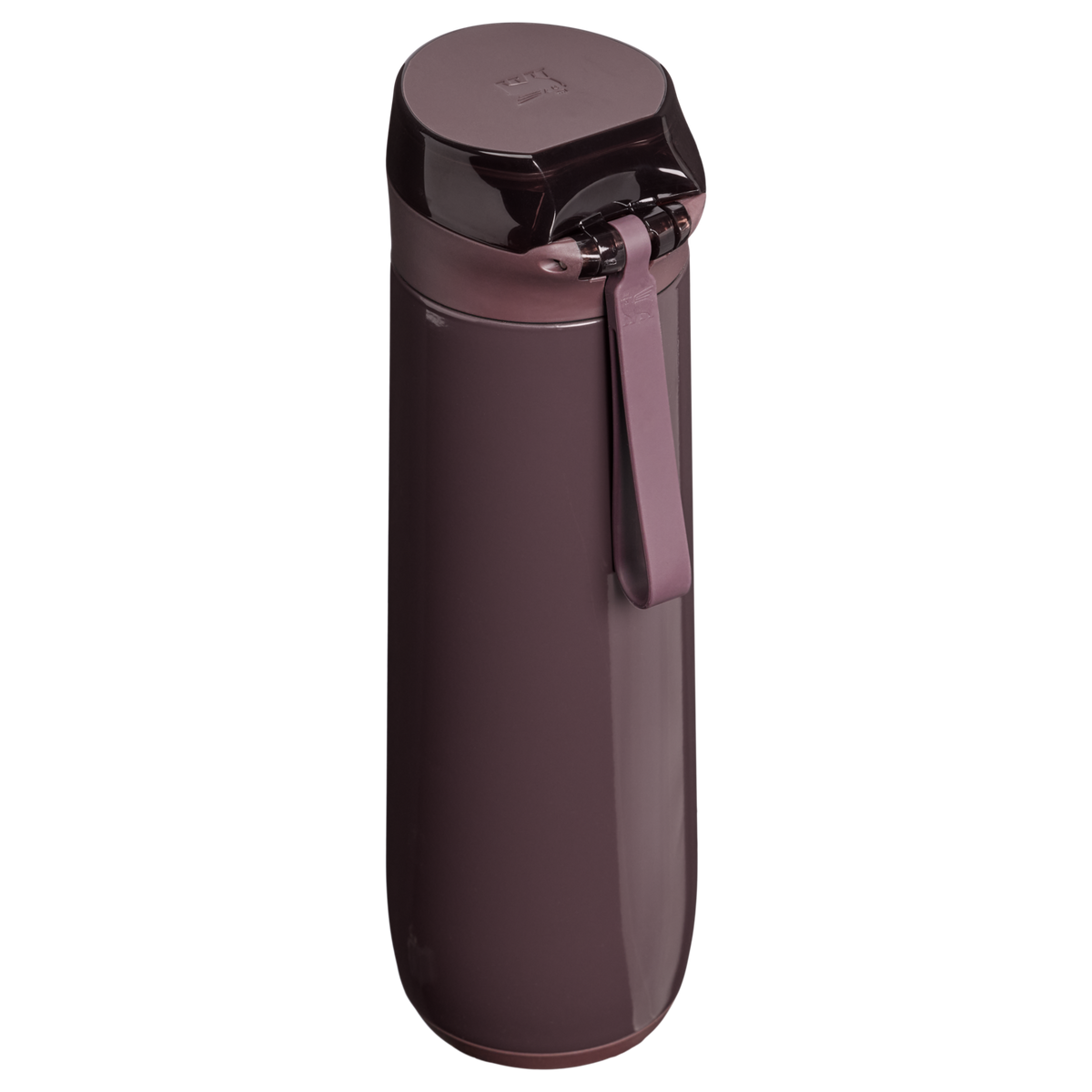 Stanley 1913 The Flowstate™ Spring Bottle 20 OZ 0.59 L in Fig Gloss | Front View