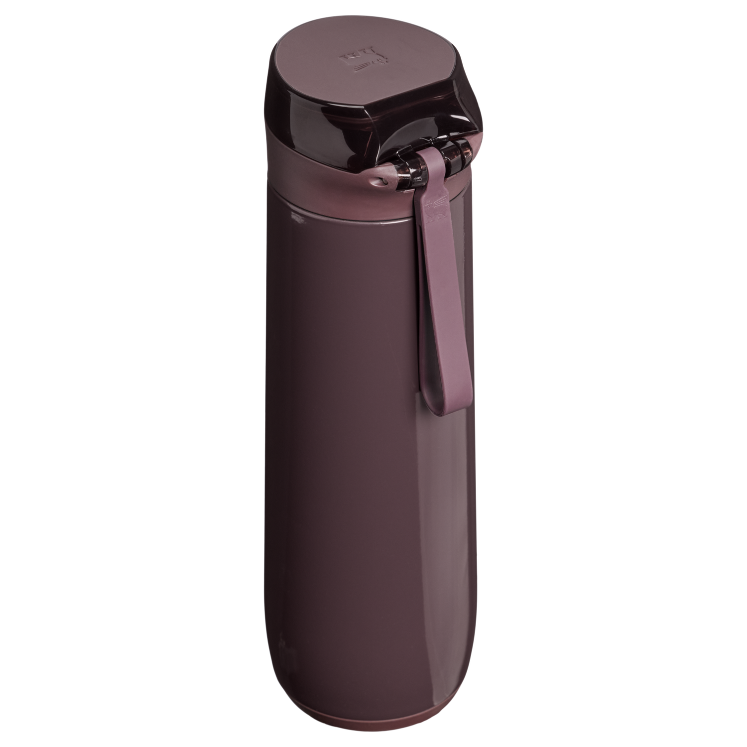 Stanley 1913 The Flowstate™ Spring Bottle 20 OZ 0.59 L in Fig Gloss | Back View