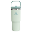 The IceFlow Flip Straw Tumbler | 30 OZ | 0.88 L - Stanley Create