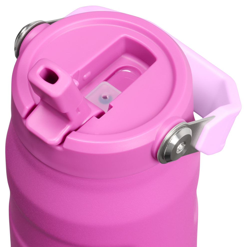 Stanley 1913 The IceFlow™ Bottle with Flip Straw Lid 24 oz 0.71 L in Dark Blossom