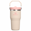 The IceFlow Flip Straw Tumbler | 20 OZ | 0.6 L - Stanley Create