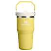 The IceFlow Flip Straw Tumbler | 20 OZ | 0.59 L - Stanley Create