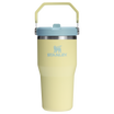 The IceFlow Flip Straw Tumbler | 20 OZ | 0.6 L - Stanley Create