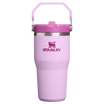 The IceFlow Flip Straw Tumbler | 20 OZ | 0.59 L - Stanley Create