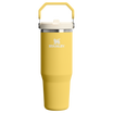 The IceFlow Flip Straw Tumbler | 30 OZ | 0.88 L - Stanley Create