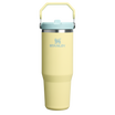 The IceFlow Flip Straw Tumbler | 30 OZ | 0.88 L - Stanley Create