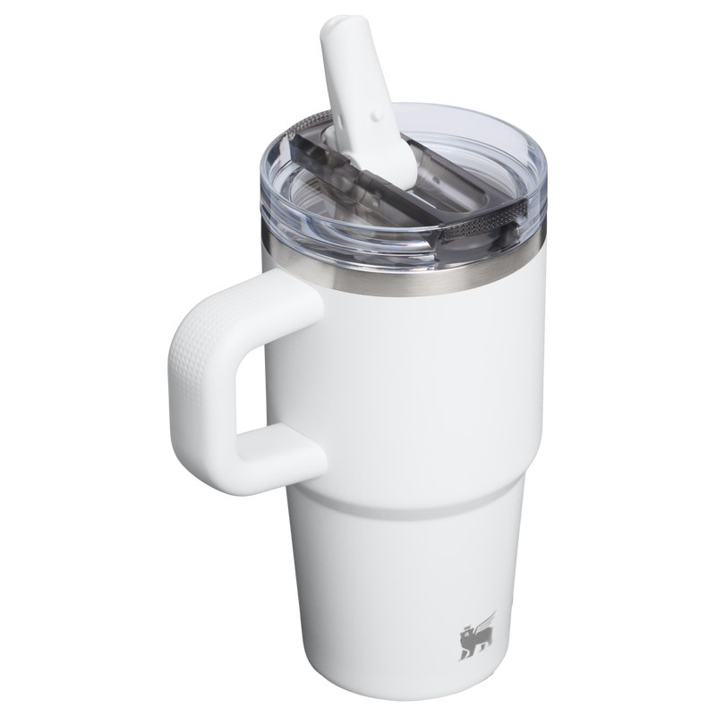 Stanley 1913 The Quencher ProTour Flip Straw Tumbler 20 OZ 0.59 L - Stanley Create in Frost | Back View