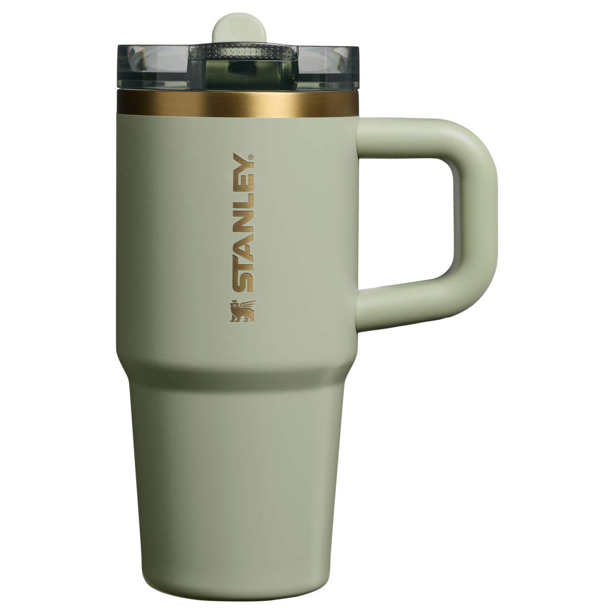 Stanley 1913 The Quencher ProTour Flip Straw Tumbler 14 OZ 0.4 L in Juniper