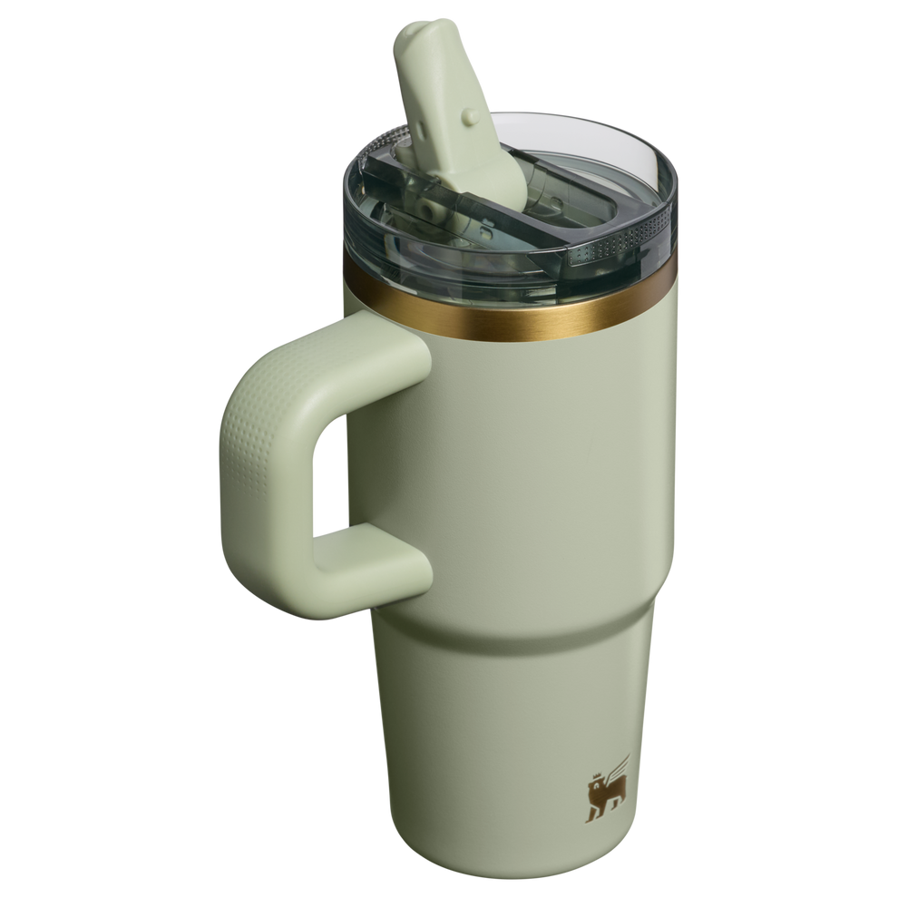 Stanley 1913 The Quencher ProTour Flip Straw Tumbler 14 OZ 0.4 L in Juniper